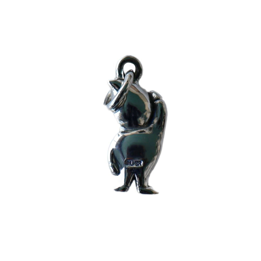 CUSHMAN クッシュマン CUSHMAN BOY SILVER TOP クッシュマンボーイ 29374 シルバペンダント pendant ネックチェーン