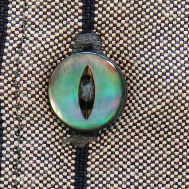 DELUXEWARE  デラックスウエア RCS-04L RAYON DUCK SHIRT レーヨンダックシャツ  長袖