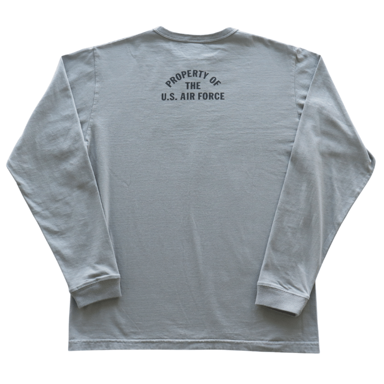 BUZZ RICKSON'S バズリクソンズ BR69626 L/S T-SHIRT McCHORD A.F. BASE プリント長袖ミリタリーＴシャツ AIR FORCE