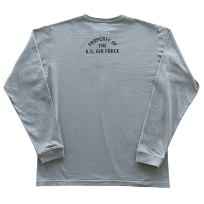 BUZZ RICKSON'S バズリクソンズ BR69626 L/S T-SHIRT McCHORD A.F. BASE プリント長袖ミリタリーＴシャツ AIR FORCE