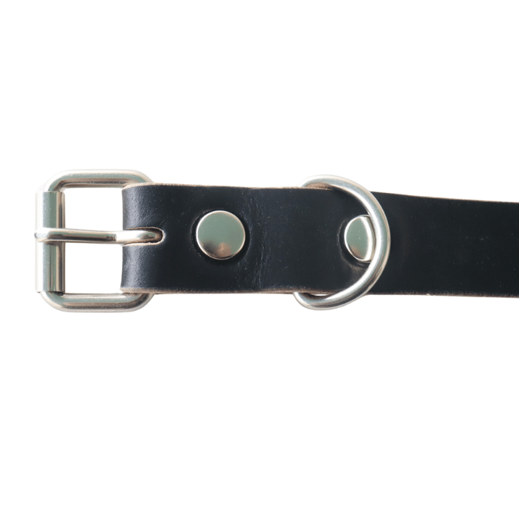 ARTBROWN ARTBROWN VDB21166AB Concho Belt Studded Belt Chromexcel Leather Umbrella Studs