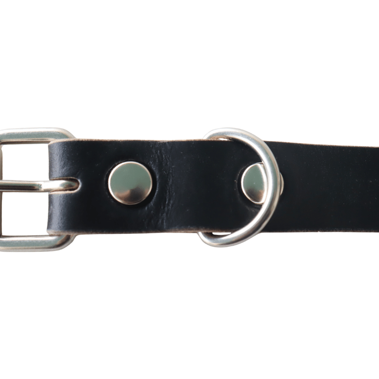 ARTBROWN ARTBROWN VDB21166AB Concho Belt Studded Belt Chromexcel Leather Umbrella Studs