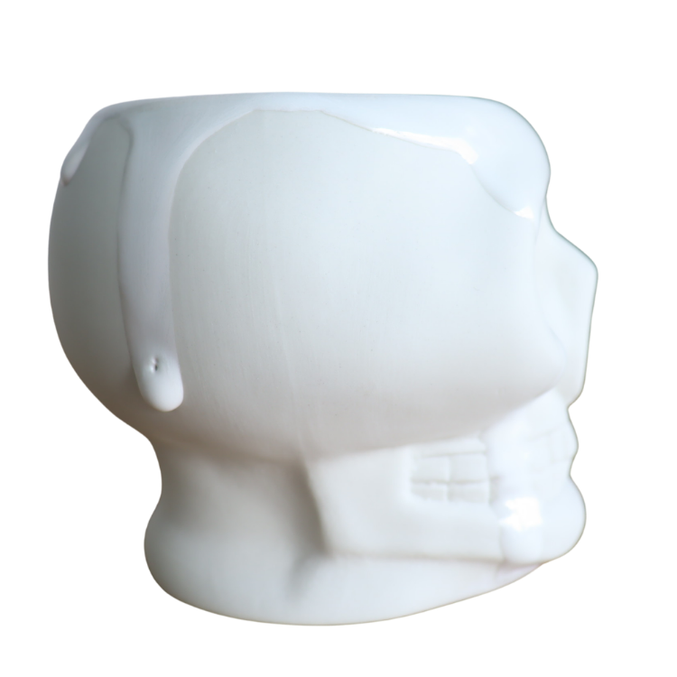 ATTRACTIONS アトラクションズ x 波佐見焼 A20033W Skull Mug White
