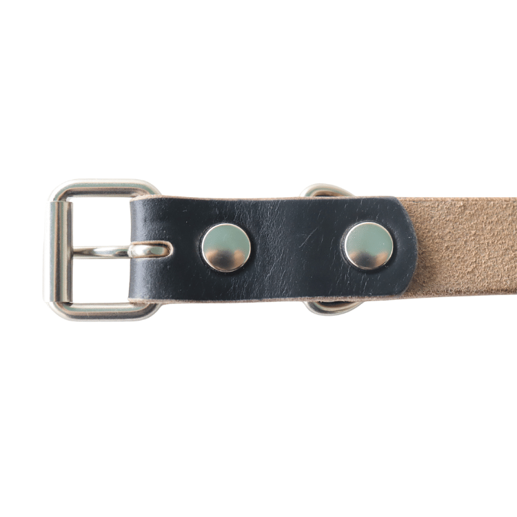 ARTBROWN ARTBROWN VDB21166AB Concho Belt Studded Belt Chromexcel Leather Umbrella Studs