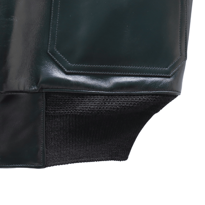 BUZZ RICKSON'S バズリクソンズ BR80655 WILLIAM GIBSON COLLECTION Type BLACK AN-J-3A HORSEHIDE MODELウィリアムギブソンコレクション ブラックAN-J-3A ホースハイドモデル